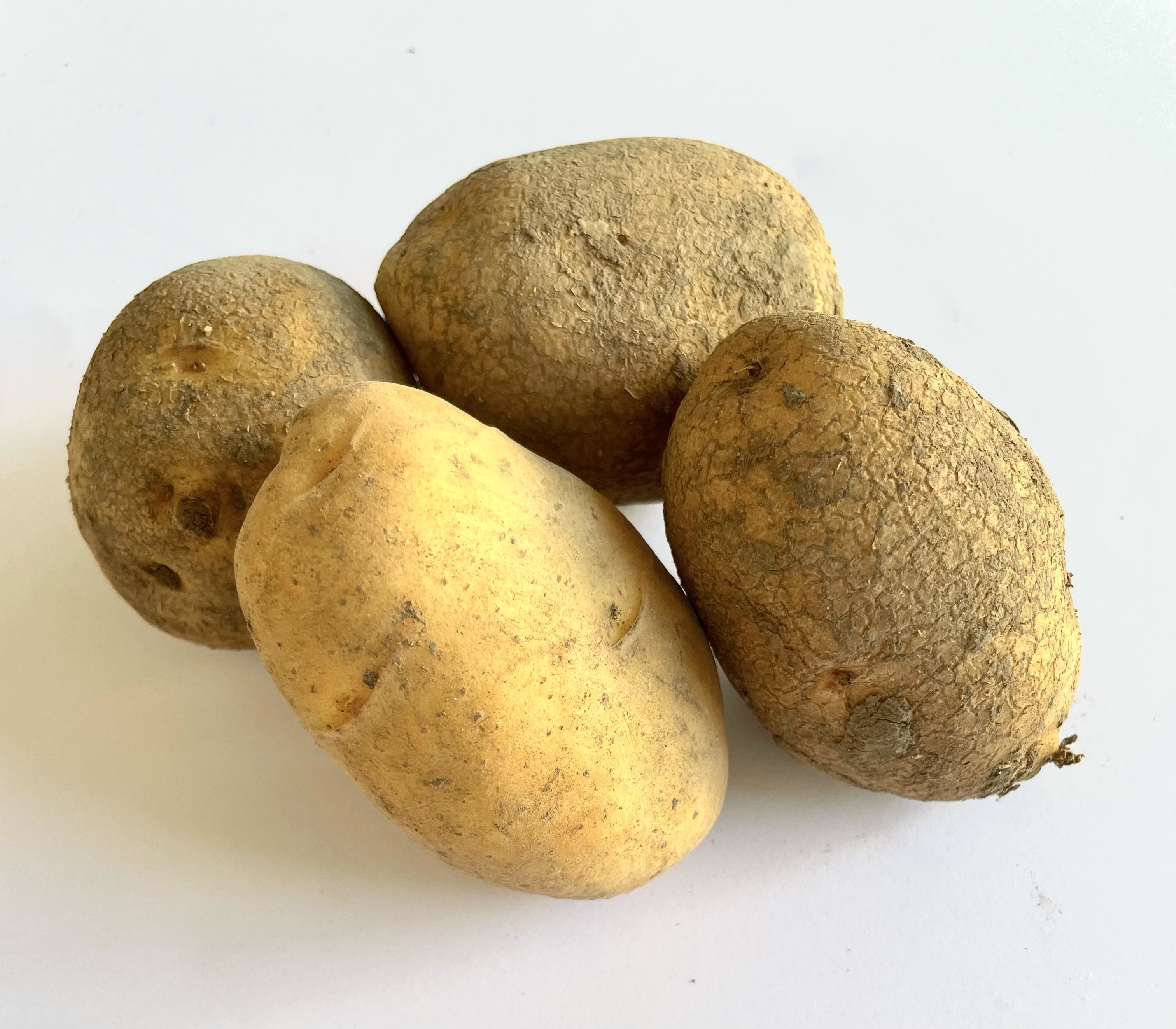 "Regional" Kartoffel Belana festkochend  Kl. I  2,5 kg 