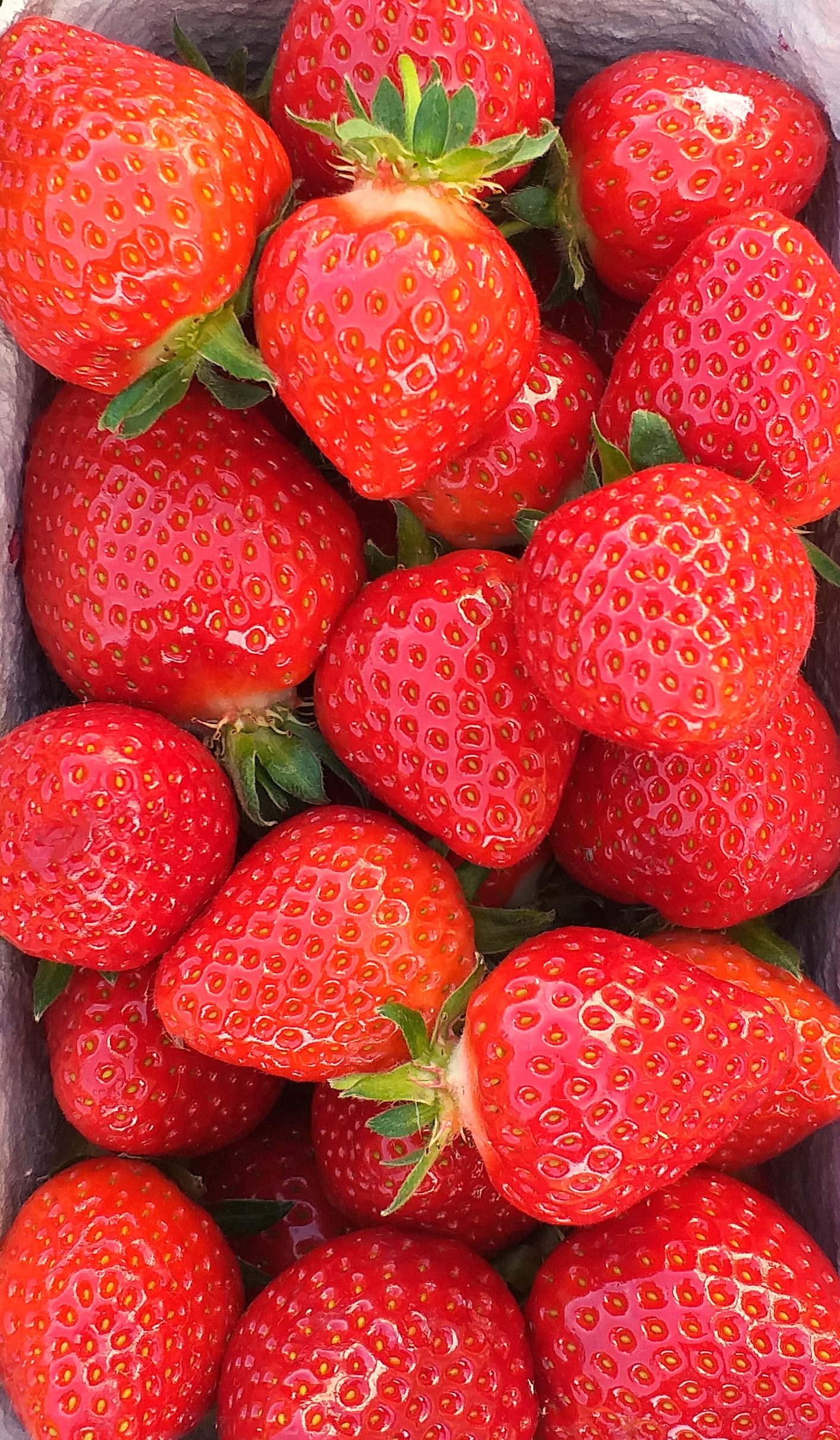 Regionale Erdbeeren  500g