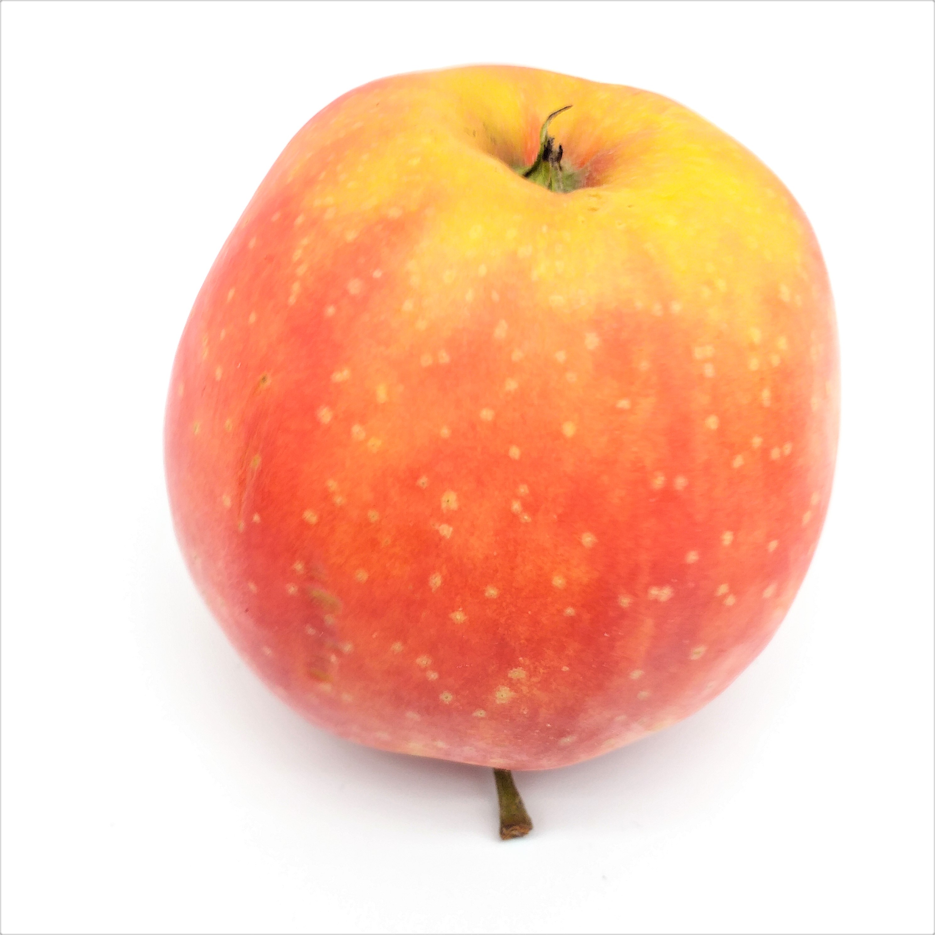 Äpfel Jonagold 1 kg