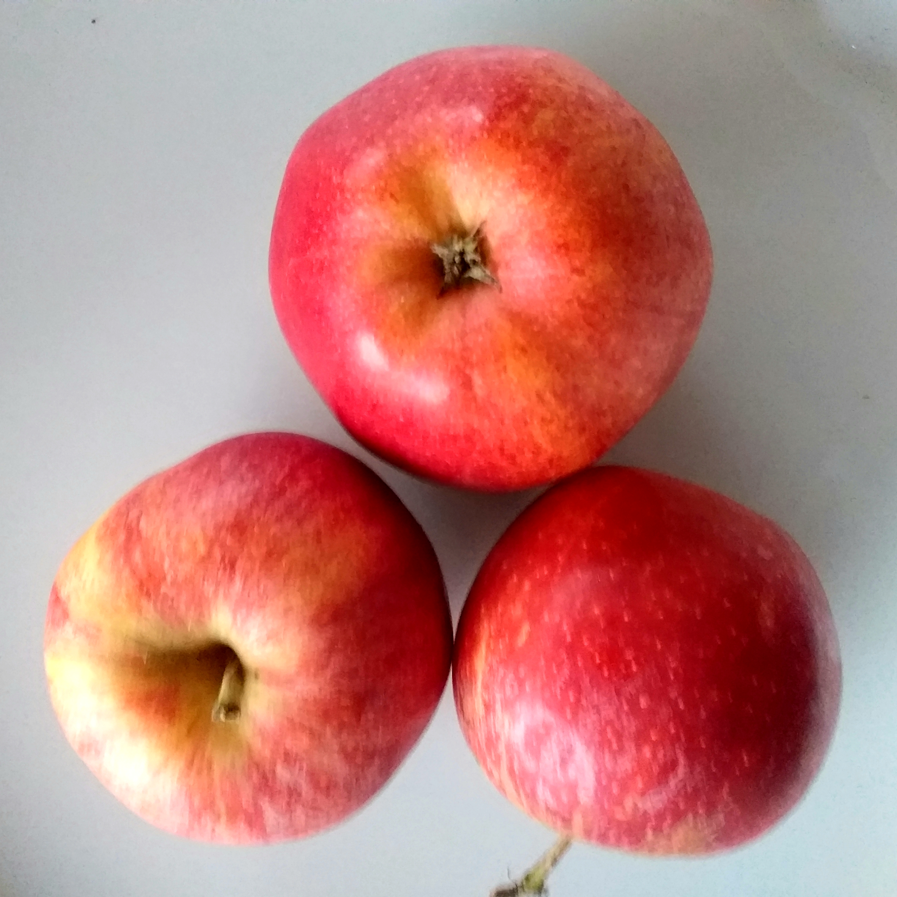 "Regional" Äpfel Gala 1 kg