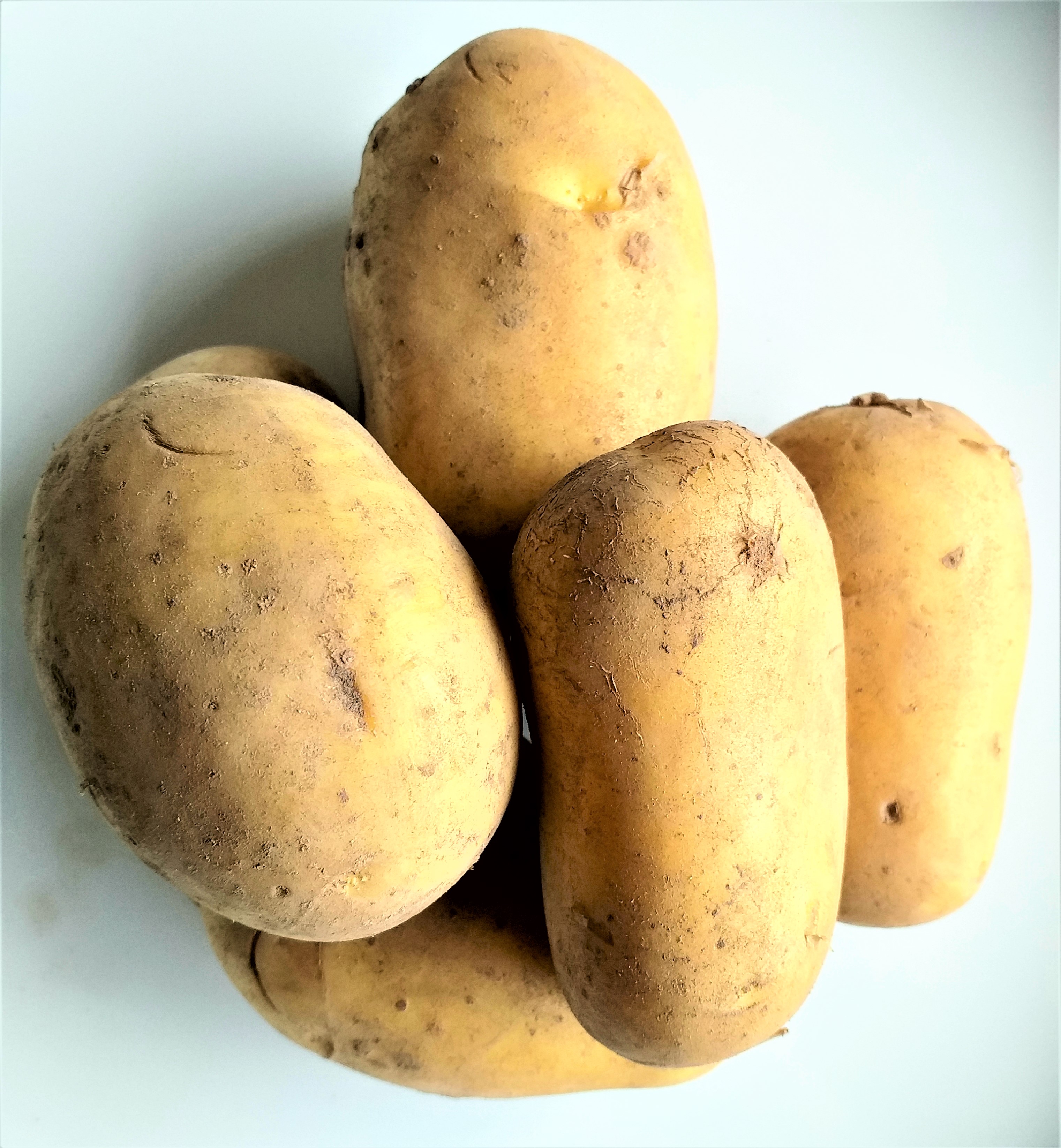 G&G Kartoffeln festkochend 2,5 kg